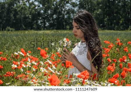 Young charming brunette girl in a field with flowers of poppies and daisies on a bright sunny summer day