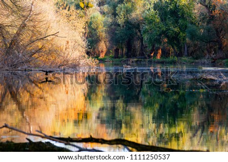 Autumn tranquility in floodplain water, background,