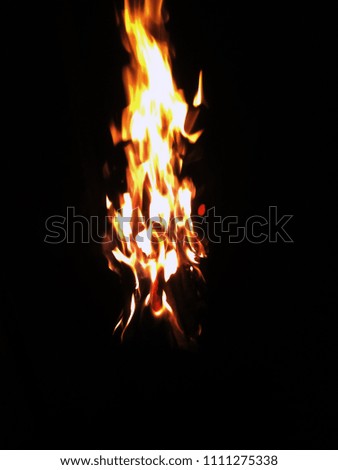 burning firewood fire fire sparks beauty and danger for background for design
