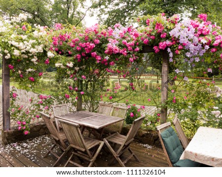 A wooden table with wooden chairs stands on a terrace surrounded by roses. After the rain many petals fell down.