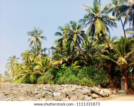 Velankani Beach, Vasai, Maharashtra. INDIA.