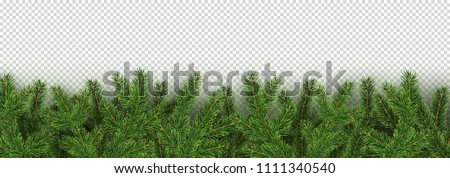 Christmas, New Year, Winter border with realistic branches of Christmas tree Xmas element for festive design isolated on transparent background Vector illustration