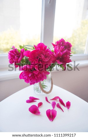 beautiful pink peonies near the window, petals crumble on the table