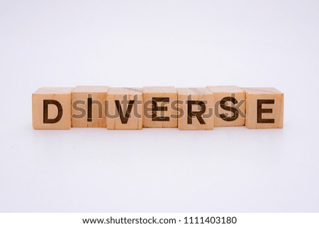 Diverse Word Written In Wooden Cube