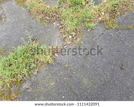 Wet gray asphalt. Green grass. Small stones.