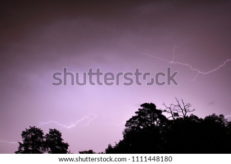 Bright shining sparkling lightning against the dark sky. Thunderstorm on a summer night: dark blue purple clouds, thunder, heavy rain. Black silhouettes of pine trees in bad rainy weather.