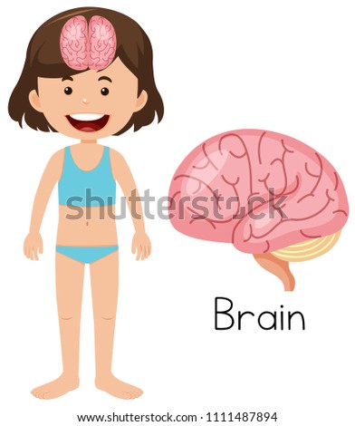 A Cartoon of Human Brain illustration