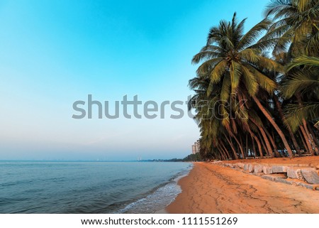 Lonely sandy beach with palms in Pattaya area, Thailand. Beautiful sunset with calm sea