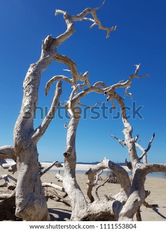 Whitehaven Beach, Qld Australia (June 2018)