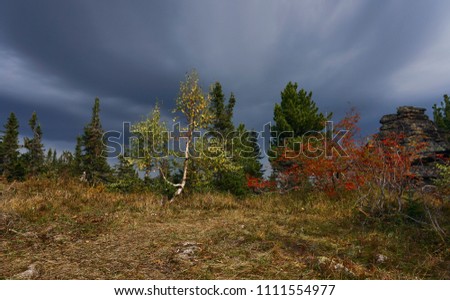                                Dramatic storm clouds over trees in autumn