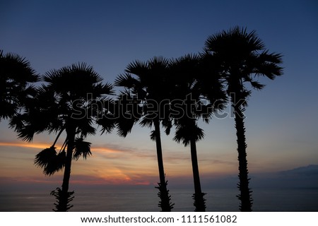 Palms black silhouette in sunset sky and sea landscape. Concept of exotic calm night background photo.