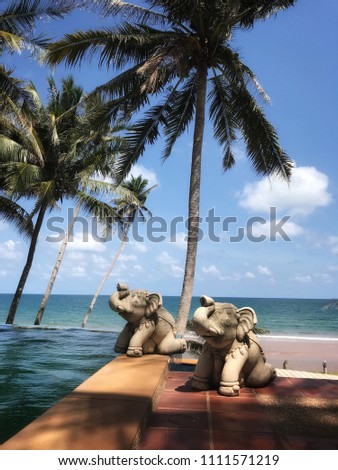 Vacation time in summer concept. The beautiful swimming pool with sea view panorama and many coconuts trees. Swimming pool overlooking the sea with sunrise in the morning.