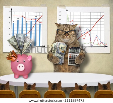 The cat financial coach teaches his students to earn money.