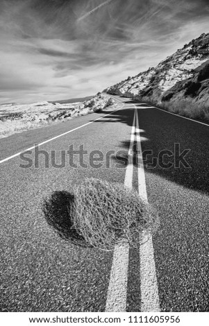 Black and white picture of a tumbleweed on a road, Capitol Reef National Park, Utah, USA.