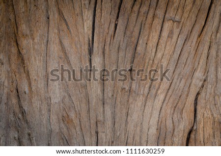 The old wood texture.