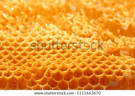 Honeycomb cells, beeswax  Royalty-Free Stock Photo #1111663670