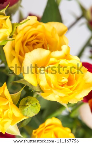 bouquet of red and yellow roses