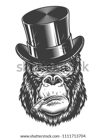 Vector illustration, angry gorilla head in the baseball hat on a white background