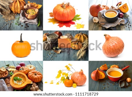 Set of nine pictures with isolated pumpkins and Autumn pictures with pumpkin soup for your seasonal project