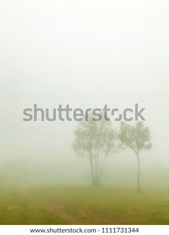 Burred photo,The fog is covering around the trees on the hill.Nature composition using as background or wallpaper landscape concept.