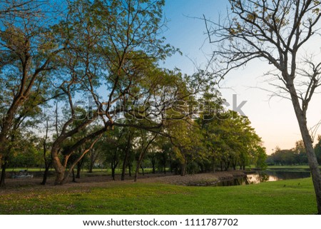 Sunset light on green grassland city park with pond nature landscape