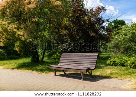 Bench for rest in the park