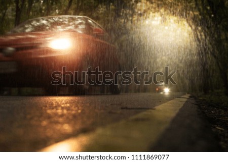 View of blurry car coming through the trees tunnel  during hard rain fall .