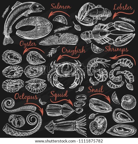 Vector set with hand drawn set - sea food (mussels, crab, lobster, shrimp, salmon, oysters, octopus, squid) on the black background