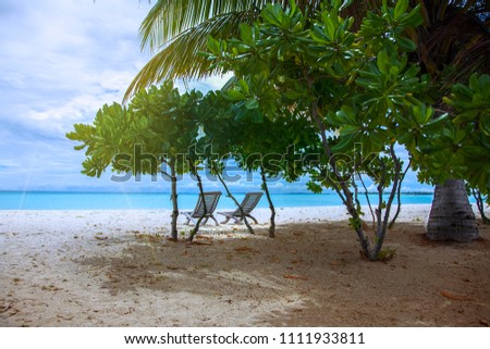 Under palms tree. Maldives Island. Maldive. Summer. White sand and blue water