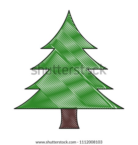 pine tree isolated icon