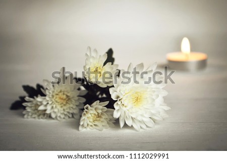 Candle and white flowers Royalty-Free Stock Photo #1112029991