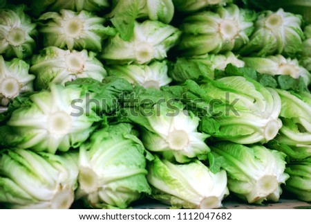 fresh cos,lettuce on the market. green layout Royalty-Free Stock Photo #1112047682