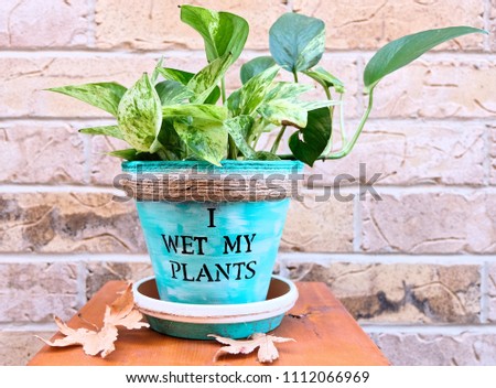 A Blue and White Ceramic Pot Holding a Pothos (Queen Marble) Plant with a Brick Exterior Background. Sitting on Stained Wood.