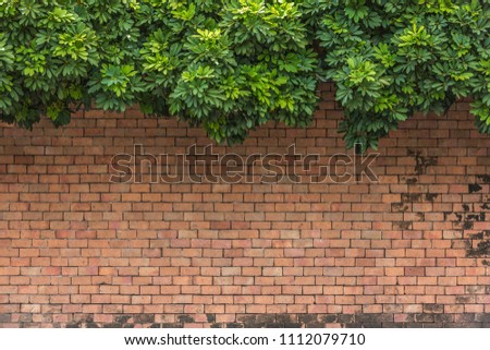 Vintage style, Light Brown brick wall with green leaves background, old vintage brick wall backdrop, old texture of brown stone blocks, vintage toned, copy space