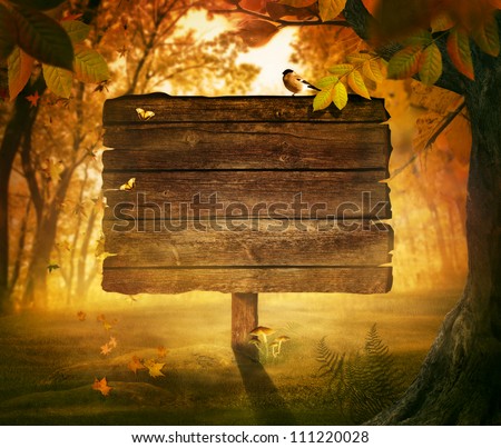 Autumn design - Forest sign. Wooden sign in autumn valley with woods,  tree, falling colorful leaves, mushrooms and bird. Space for your autumnal text. Fall background concept with copyspace.