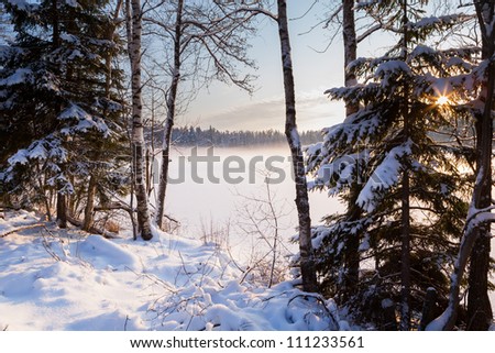The frozen winter lake in wood under snow
