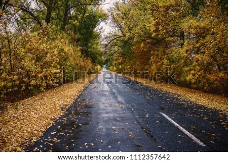 Autumn amazing vintage landscape with road and majestic sky, rainy highway, travel design