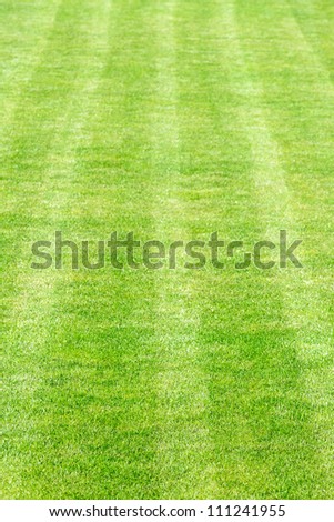 Green grass on playing field of stadium