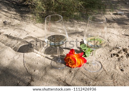 two glasses in the sand