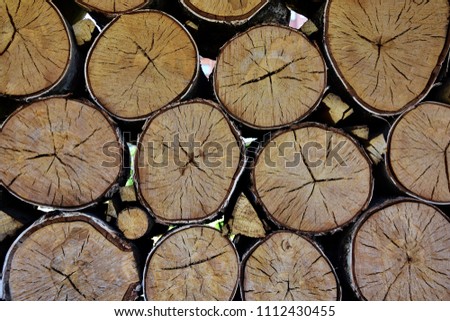 Woodpile of cracked round of wooden chocks