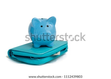 blue piggy Bank is on  wallet, isolated