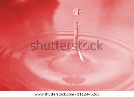 Water drop splash and waves. Selective focus on drop. Red toned.