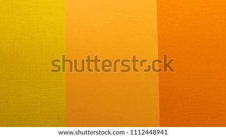 Banner, Multi colored abstract paper of pastel colors, with geometric shape, flat lay.
