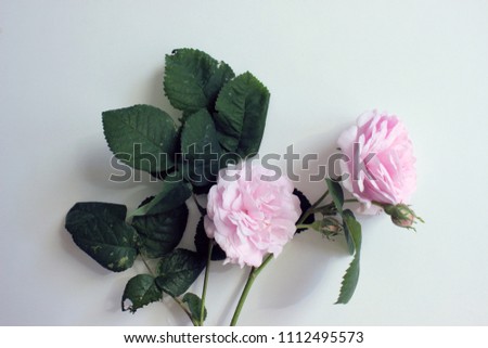 A bouquet of tea roses in a vase