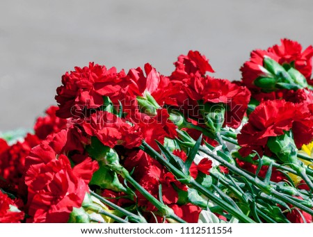 Red carnations near the monument as a symbol of memory. 