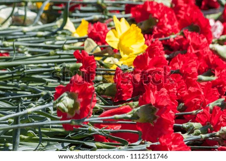 Red carnations near the monument as a symbol of memory. 