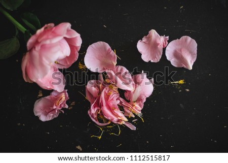 Tender pink peony with peony leaves on the rustic black wooden table background, top view, flat lay