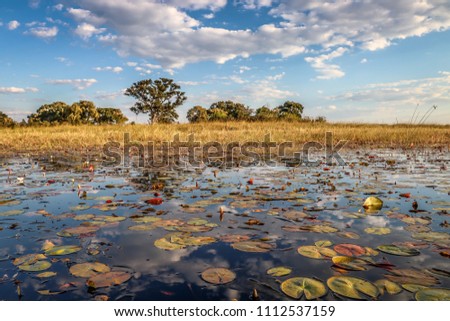Beautiful, spectaculair mirror reflections on the Okavango Delta, Botswana