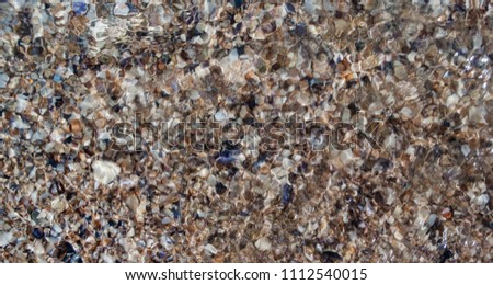 Top view of pebbles, sand and many shells of sea snails, clams, cockles, mussels, conch, rapanas, under transparent sea water on the beach. Blurry shapes caused by water motion and reflections. Summer
