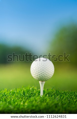 close up the golf ball on tee pegs ready to play in the green background